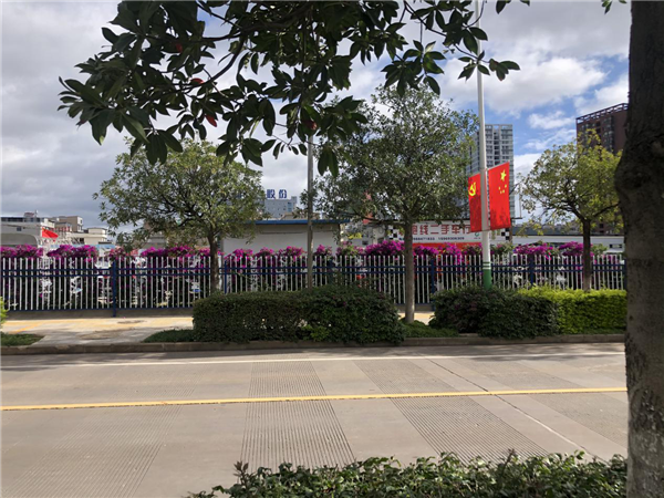 图片3