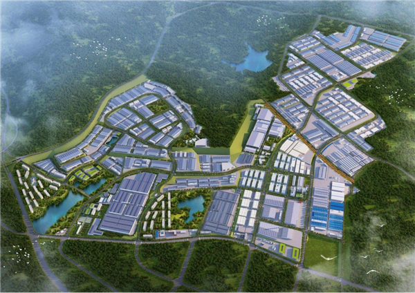 图片7
